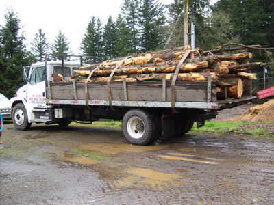 Firewood logs ready to deliver anywhere in the Portland Metro area - cut your own firewood and save!